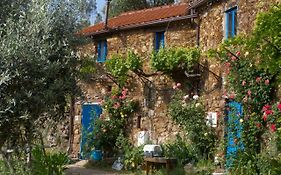 Guest Room Agro-Turismo Quinta Da Fonte Bed&Breakfast